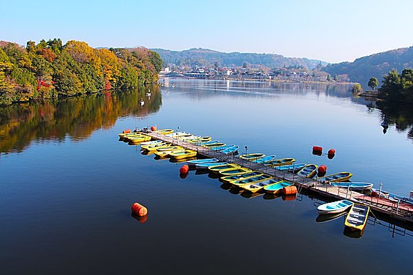 ダムで紅葉を！ ボートに乗って湖上の絶景スポットへ／亀山湖（千葉県君津市）