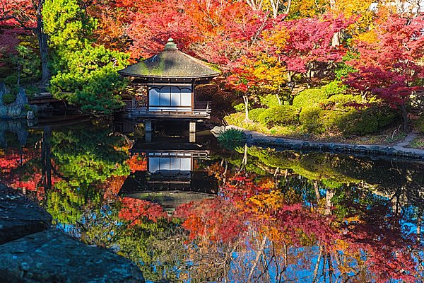 水面に映るもみじ…おおらかな大名庭園／紅葉渓庭園（和歌山県和歌山市）