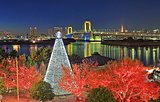 もう始まっていますよ！東京のイルミネーション〈レジャー特集・2017〉