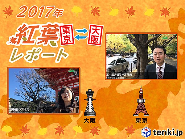 第1回　東京・大阪紅葉レポート2017