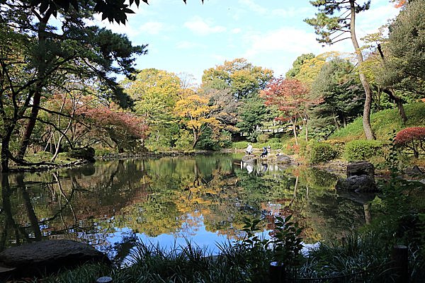 今日スグ読める！ 合間には公園散策＆カフェからの紅葉もぜひ／東京都立 中央図書館（港区）