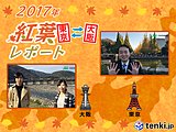 第2回　東京・大阪紅葉レポート2017