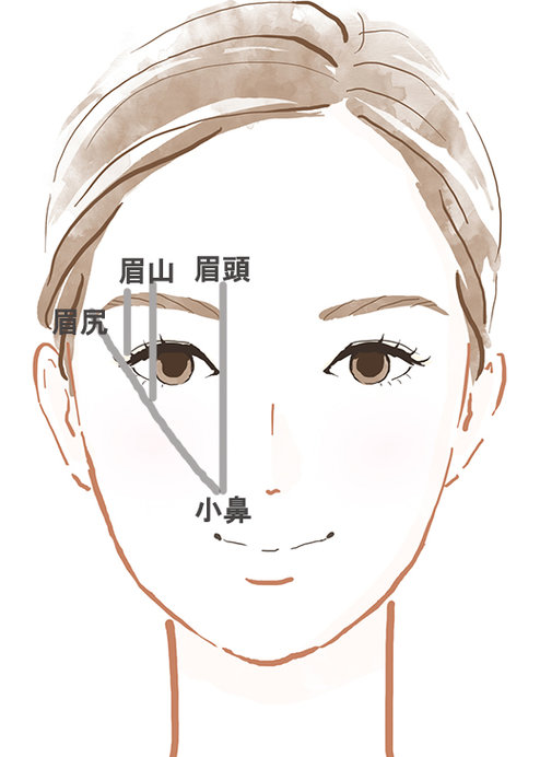 ベーシックな眉の形を、まず押さえておきましょう