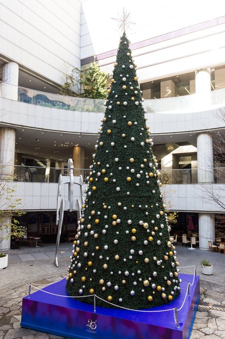 巨大な クリスマスツリーを見にいこう 東京編 特集17 Tenki Jpサプリ 17年12月16日 日本気象協会 Tenki Jp