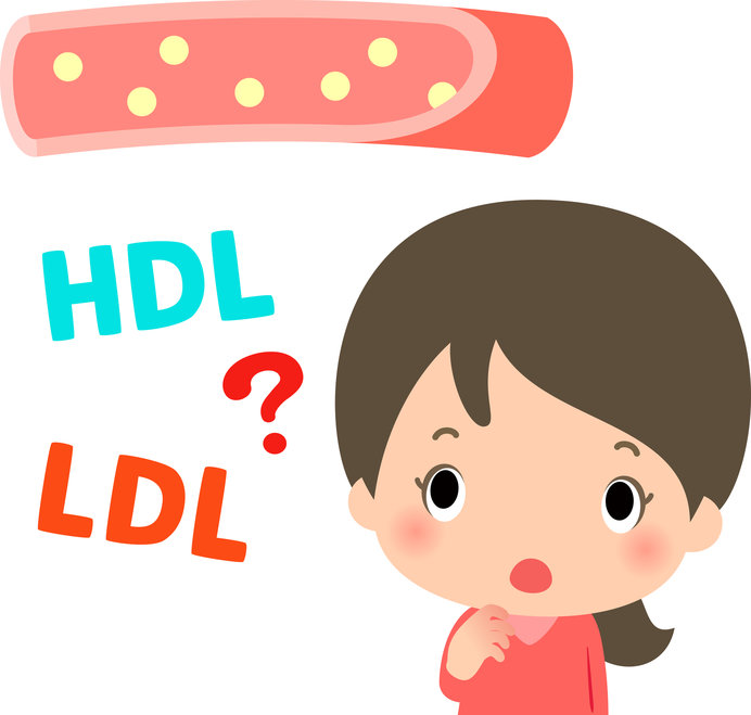 LDLコレステロールを悪玉、HDLコレステロールを善玉と呼びます
