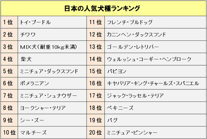 戌年にちなんで「犬」にまつわるアレコレをランキングでご紹介！_画像