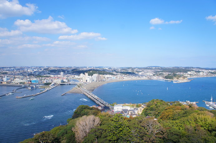 新江ノ島水族館の「えのすいクラゲの日」って？