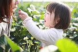 心躍る甘～い香り！　東京から日帰りで行けるいちご狩りスポットへ｜レジャー特集2018