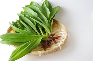 山菜の季節!!北海道特産、話題の「行者にんにく」が、そろそろ出回ります!!