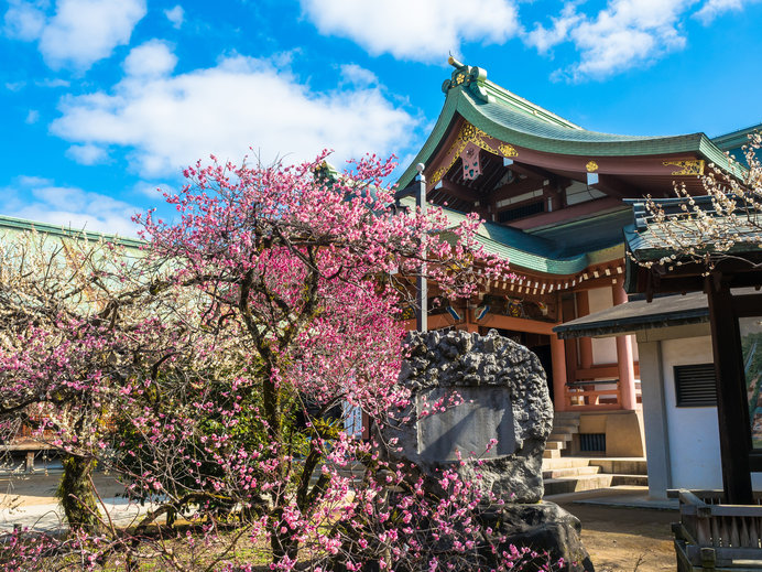 北野天満宮の梅と宝物殿