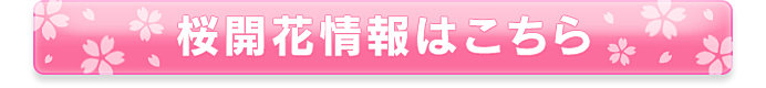 さあ桜の開花はまもなくです！〈桜の名所特集｜鹿児島・大分・宮崎・長崎〉_画像