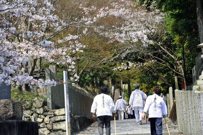 さあ桜の開花はまもなくです！〈桜の名所特集｜徳島・高知・愛媛・香川〉