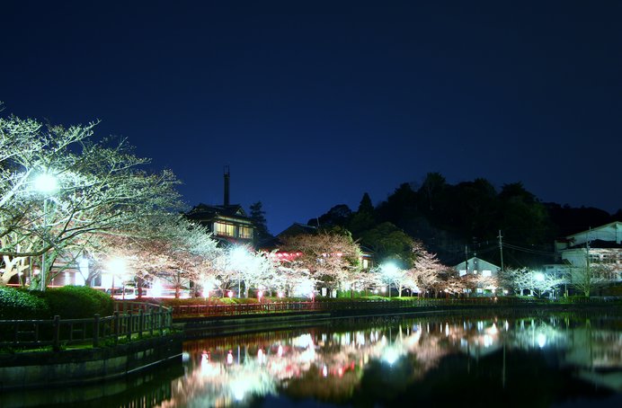 花火とのコラボも◎ 湖面に映る桜は息をのむ美しさ！／八鶴湖（千葉県東金市）