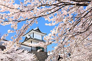 今年の桜に逢いに行こう！北陸のおすすめスポット＜桜の名所特集2018｜東日本＞