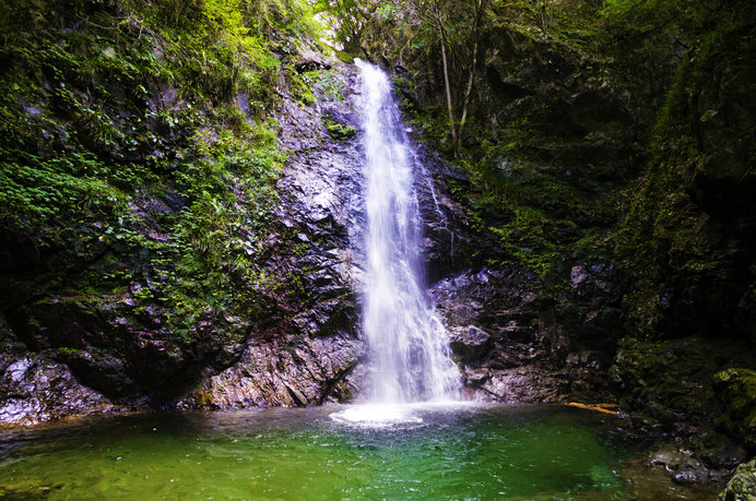 東京都で唯一“日本の滝百選”にも選ばれた名瀑「払沢（ほっさわ）の滝」