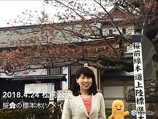 ついに来た！北の大地に桜前線上陸　北海道サクラレポートVol.1