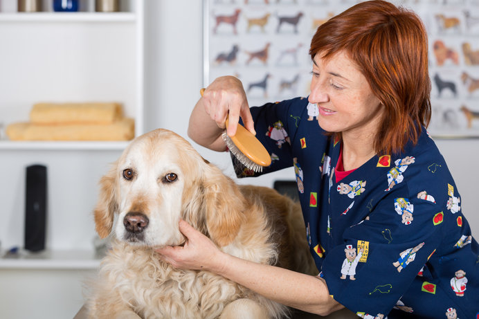 ブラッシングは犬のリラクゼーションにもなります。