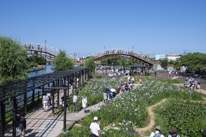 イタコのイタロウ〜♪ の聖地です／水郷潮来あやめ園（茨城県潮来市）