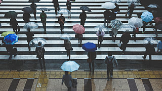 雨粒はしずく型ではない!? 雨女・雨男っている!?  雨の日は「雨トリビア」で楽しもう！