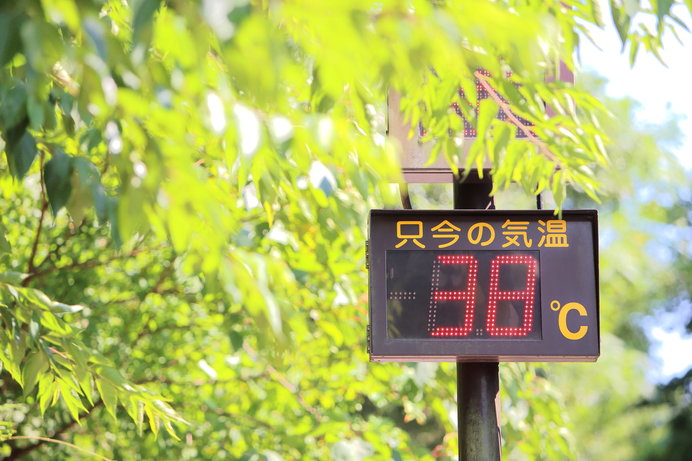 知って得する季語 漢字でどれだけ 暑さ の度合いを表現できる Tenki Jpサプリ 18年07月04日 日本気象協会 Tenki Jp