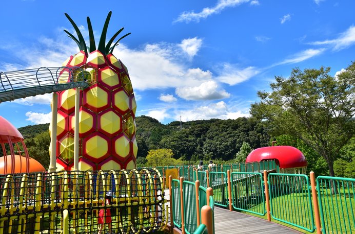 夏のフルーツ狩りしませんか 首都圏から行けるおすすめスポット 東日本編 レジャー特集18 Tenki Jpサプリ 18年07月07日 日本気象協会 Tenki Jp 夏のフルーツ狩りしませんか 首都圏から行けるおすすめスポット 東日本編 レジャー特集18 Tenki Jpサプリ 18年07月07日 日本気象協会 Tenki Jp