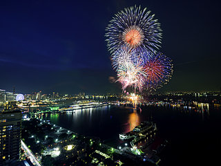 今夏は個性光る花火大会へ！～東日本編～〈レジャー特集｜2018〉