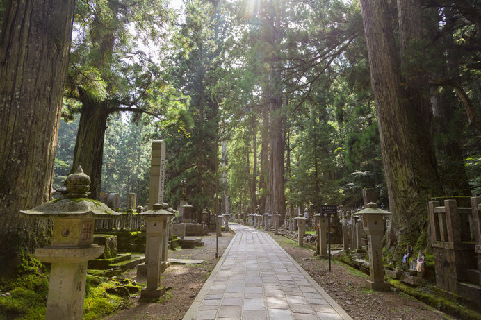 高野山奥之院の参道（和歌山県）