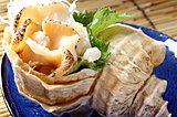 北海道・日高のつぶ貝が巨大すぎ!! コリコリの刺身がおいしい真つぶを食べてみよう
