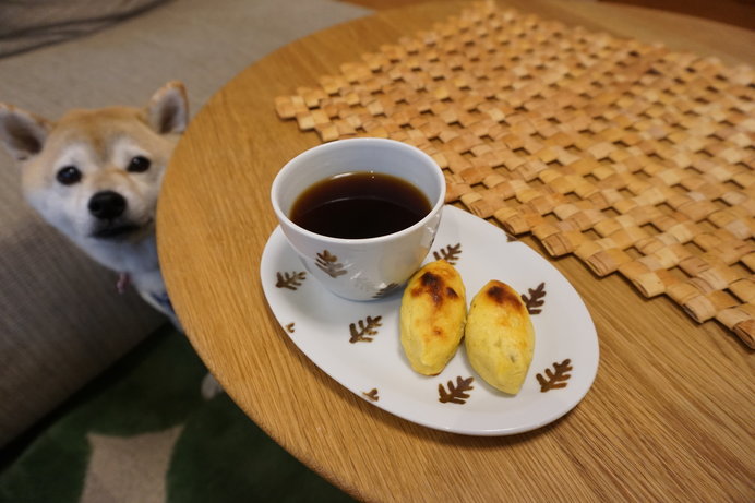 食欲の秋ももうすぐ 愛犬にはサツマイモの手作りおやつを Tenki Jpサプリ 18年08月29日 日本気象協会 Tenki Jp