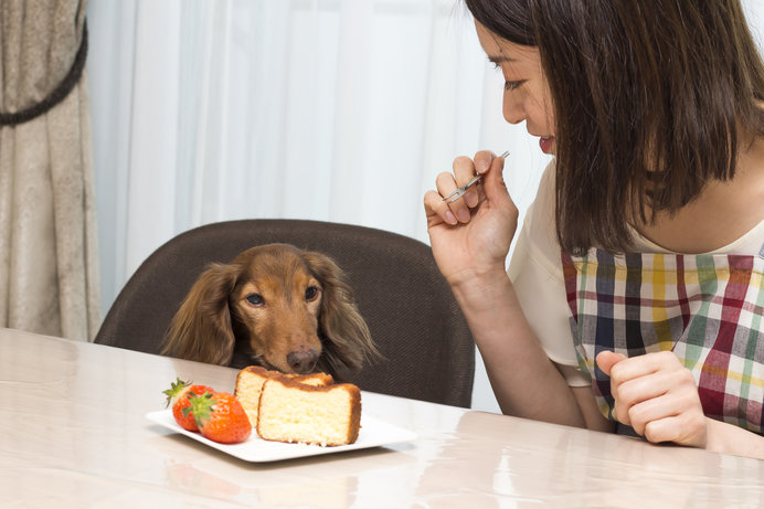 食欲の秋ももうすぐ 愛犬にはサツマイモの手作りおやつを Tenki Jpサプリ 18年08月29日 日本気象協会 Tenki Jp