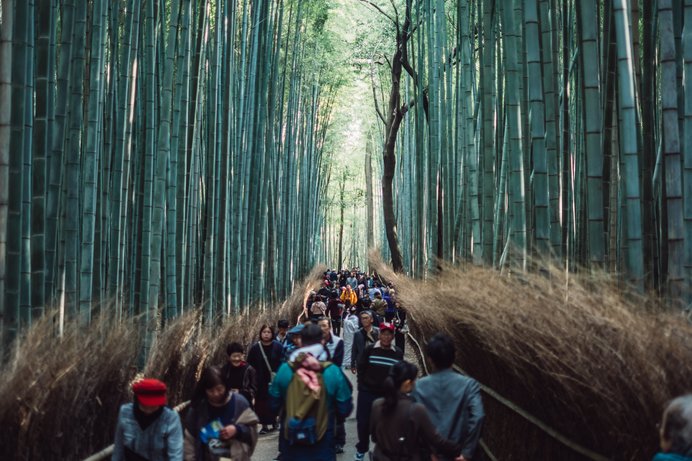 激混み京都攻略法！通訳ガイドが教える秋の京都を100倍楽しむ5つのコツ