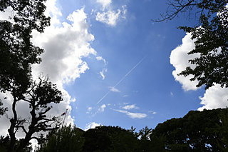 終戦日風の行方のくさかげろふー８月15日の歳時記