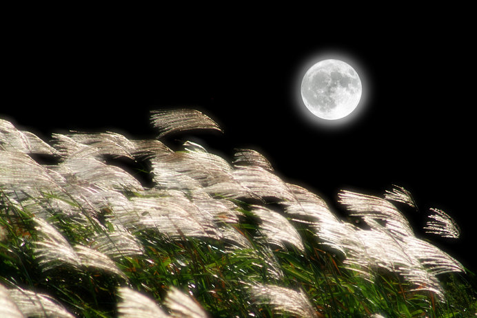 長月 は 夜長月 の意 次第に長くなる夜に月が冴え輝くころ Tenki Jpサプリ 18年09月01日 日本気象協会 Tenki Jp
