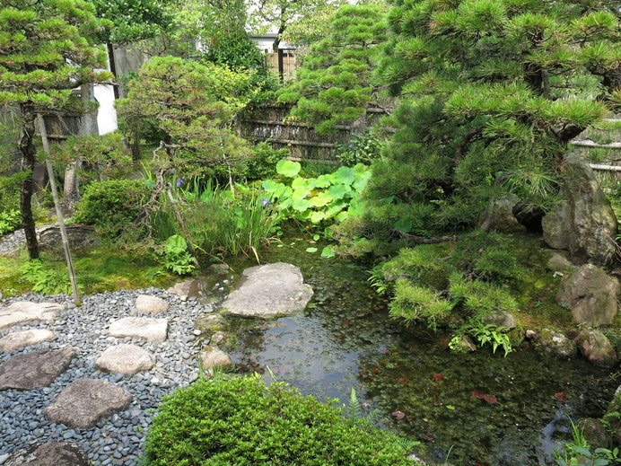 小泉八雲旧居の北の庭