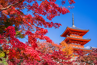 京都の紅葉名所スポットへGO！〈清水寺・祇園エリア編〉