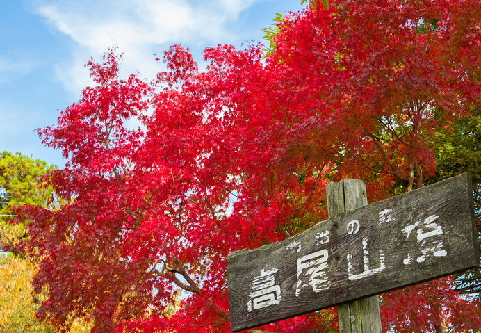 山の紅葉が見ごろに♪初心者も楽しめる関東の山〈レジャー特集｜2018〉