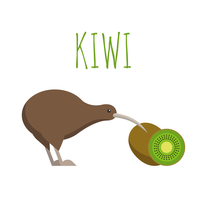 ニュージーランドの国鳥「KIWI」に似ていることが名前の由来