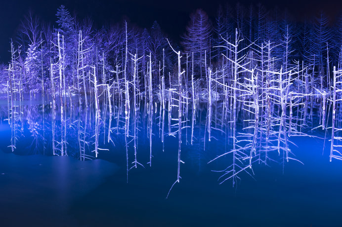 美瑛「青い池」ライトアップ／銀世界の夜に浮かぶ神秘の青い池