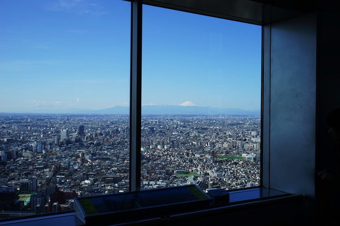 これから3か月くらいは、晴れていれば富士山が遠くにはっきりくっきり見えます！