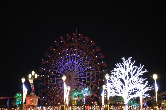 夜のイルミネーションはファンタスティックな雰囲気です♪