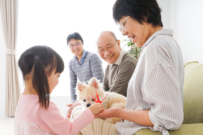 家族の一員である愛犬、旅先や帰省先に一緒に連れて行けるのなら、連れていきたいですよね♪