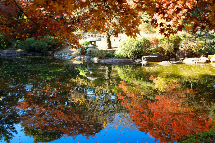 庭園美術館日本庭園