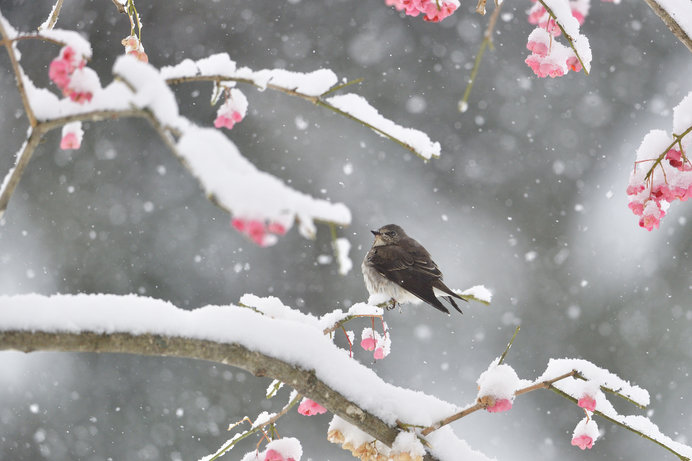 冬から春へ 土用 にあたる今 知っておきたい体を整える食養生 Tenki Jpサプリ 19年01月31日 日本気象協会 Tenki Jp