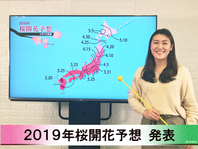 【動画で解説】日本気象協会から第1回2019年桜開花予想発表！