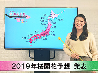 【動画で解説】日本気象協会から「第1回 2019年桜開花予想」発表！