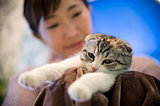 大人気！珍しい動物と触れ合えるカフェ～男性お一人様でも寛げる猫カフェまで！今注目のアニマルカフェ♪