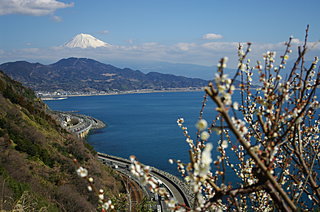 薩埵富士雪縞あらき雨水かなー歳時記を楽しむ