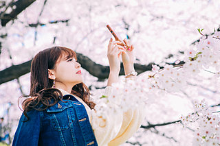 九州の桜観賞スポット！インスタ映えならこちらの4スポットへ♪