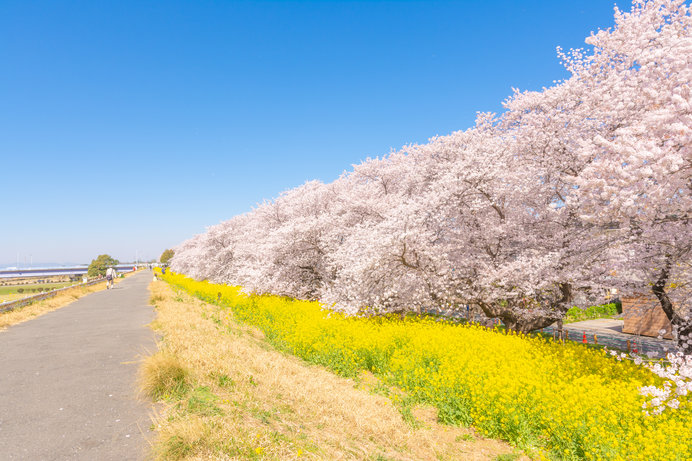 ※写真はイメージです