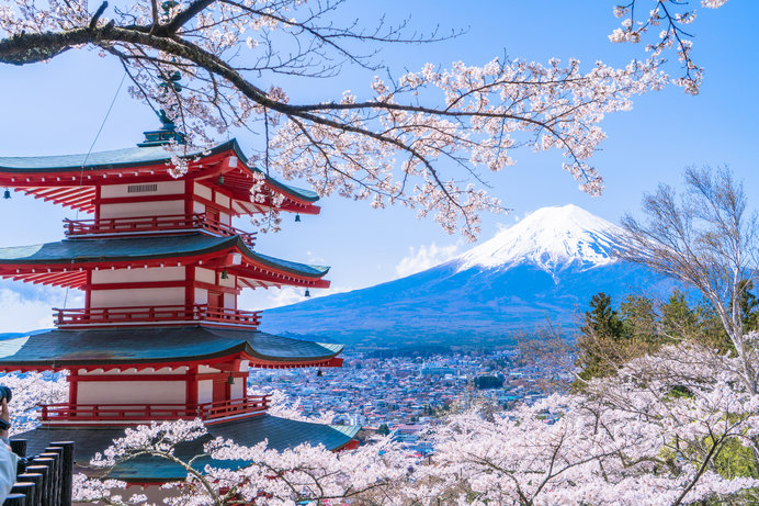 甲信の桜は日本情緒にあふれてる♪富士山や古城とともに春を楽しむ桜に逢いに行こう！